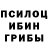 Галлюциногенные грибы Magic Shrooms Aljohn Cinco