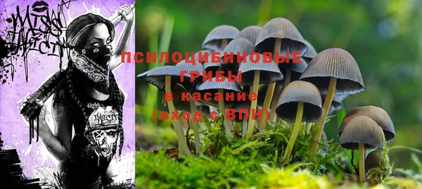 прущая мука Приозерск