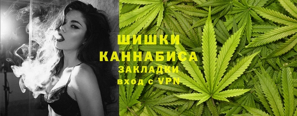 сатива Арсеньев