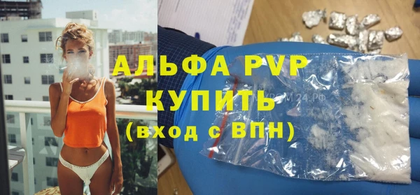 сатива Арсеньев