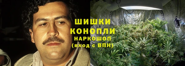 сатива Арсеньев