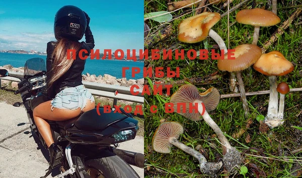 дурь Аркадак
