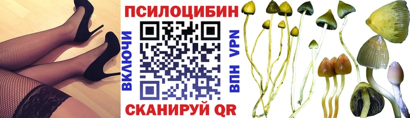 kraken ТОР  Обоянь  Галлюциногенные грибы прущие грибы 